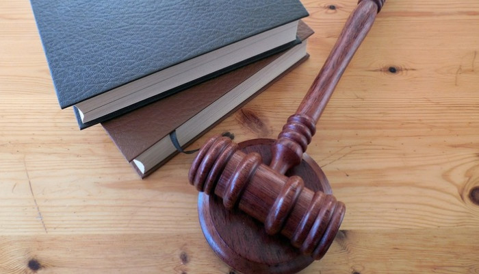 Від шаблона до конструктора: кому не підходить модельний статут