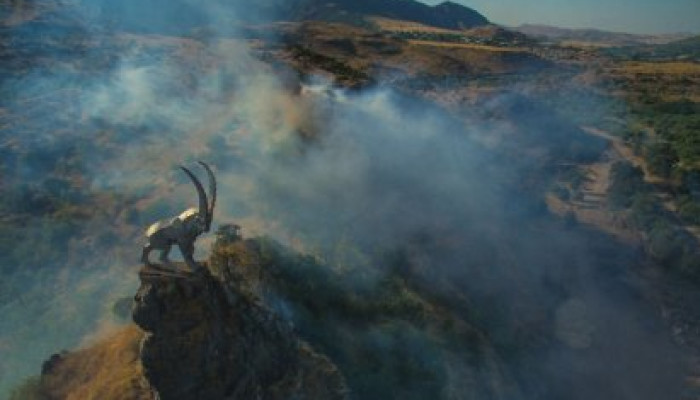 Як утриматися «на висоті»: 3 фактори стабільного розвитку бізнесу