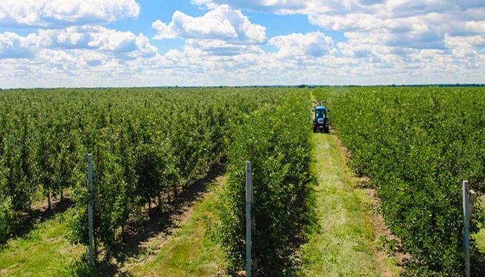 В парламенте зарегистрирован законопроект по снижению НДС садоводам